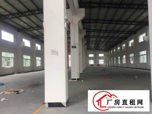  杨屋新出独院单一层钢构1300平方厂房出租
