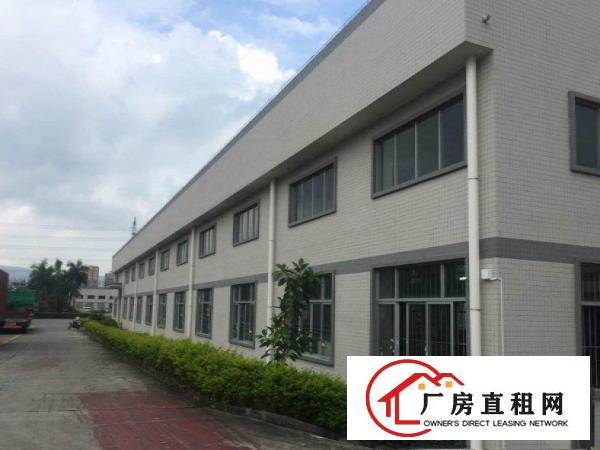  杨屋新出独院单一层钢构1300平方厂房出租