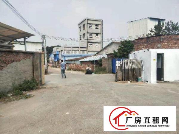  （不限行业！）鸡翅岭新出原房东单一层钢构1088平厂房出租！