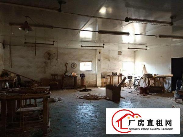  大岭山城区新出原房东450平方标准厂房招租，可办环评