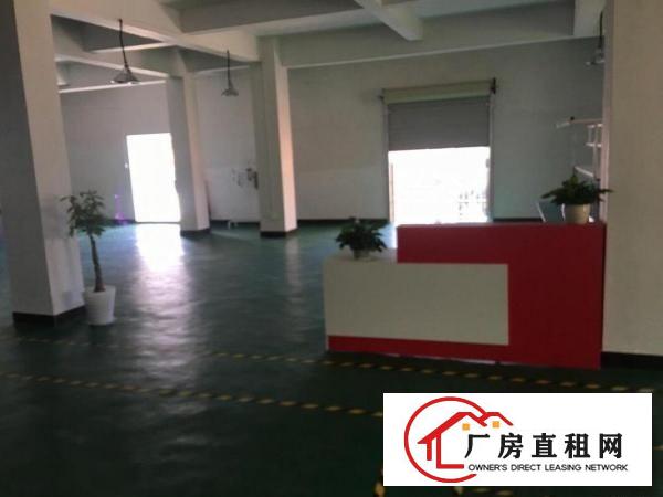  独栋厂房出租，大小可分，包装修