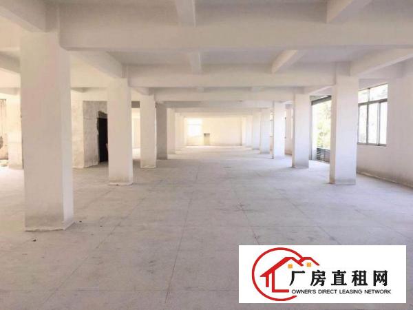  独栋厂房出租，大小可分，包装修