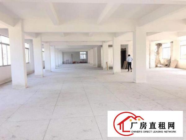  独栋厂房出租，大小可分，包装修