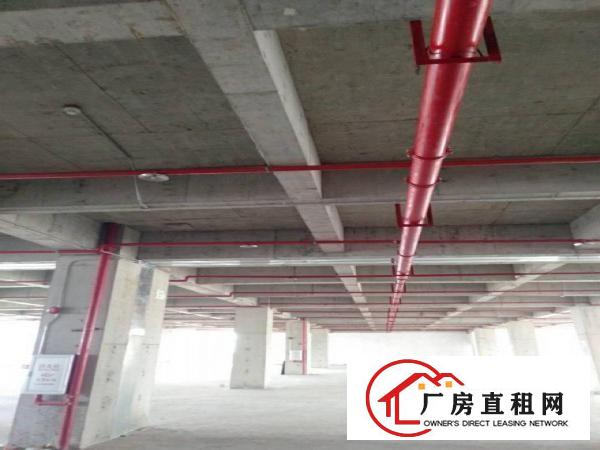  全新重工业厂房，水电消防齐全
