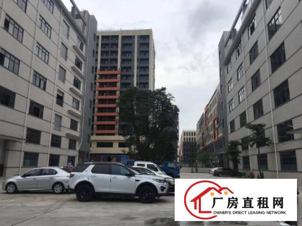  杨屋村新出园区标准楼上厂房出租，形象好，面积实量，价格实在！