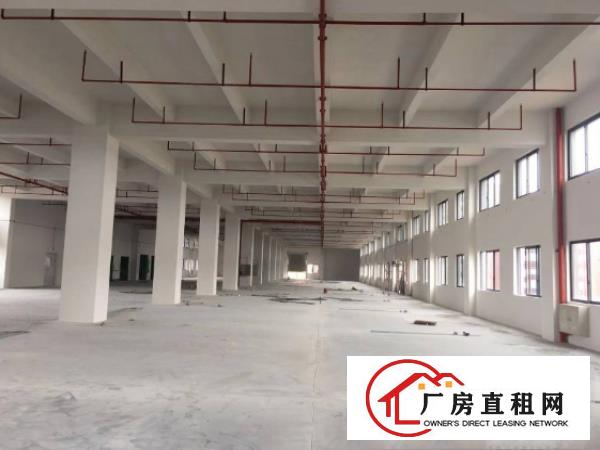  杨屋村新出园区标准楼上厂房出租，形象好，面积实量，价格实在！