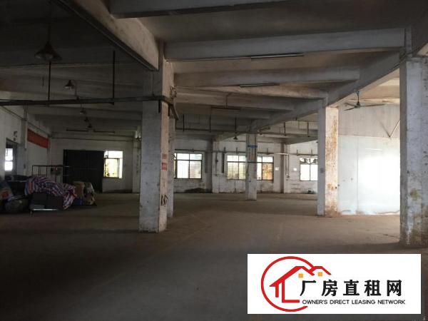  大岭山杨屋国道边原房东独门独院3600平厂房出租位置好