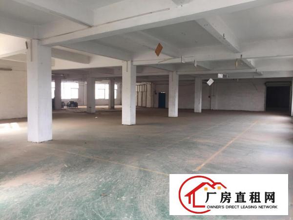  大岭山杨屋国道边原房东独门独院3600平厂房出租位置好