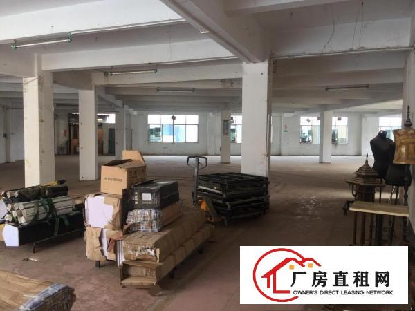  大岭山杨屋国道边原房东独门独院3600平厂房出租位置好