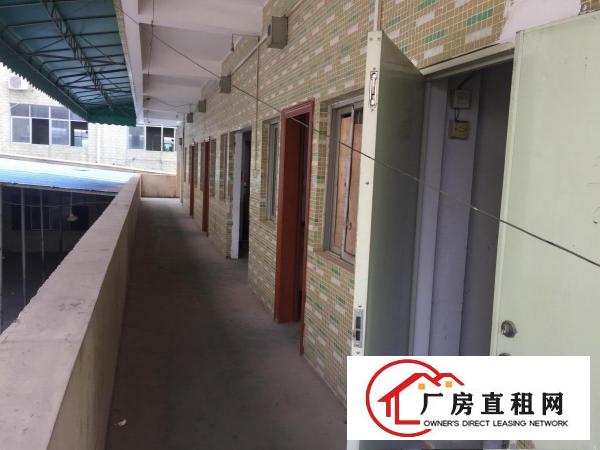  大岭山杨屋国道边原房东独门独院3600平厂房出租位置好