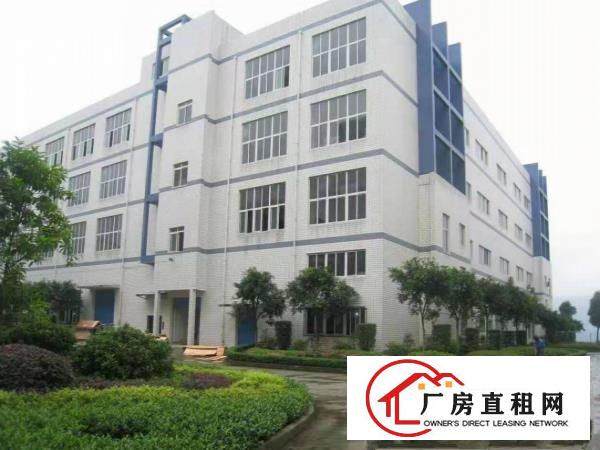  大岭山豪华装修标准厂房二楼楼1000平出租，价格美丽