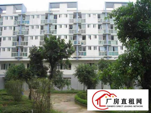  大岭山豪华装修标准厂房二楼楼1000平出租，价格美丽