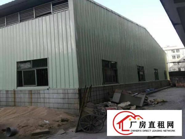  大岭山向东村空出村委原建单一层钢构厂房770平米出租