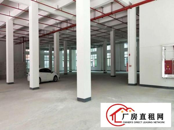  大型工业园招租！！大岭山新出独门独院1860平方厂房招租！！