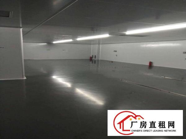  新出2800平方无尘车间厂房，可做口罩医疗