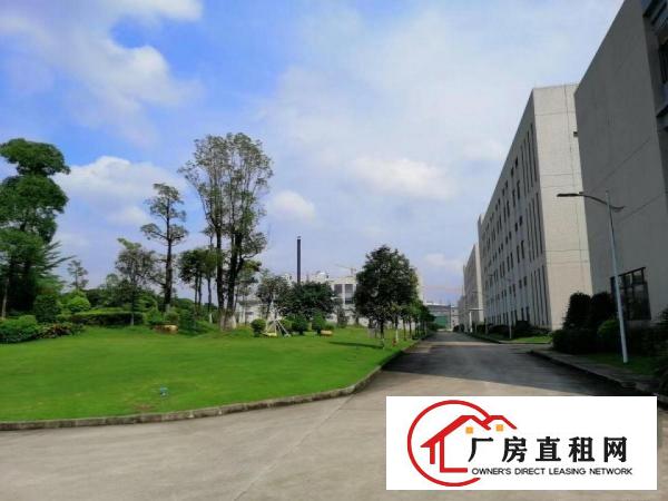  大岭山花园式工业园新岀标准厂房3楼4800平厂房出租可办环评