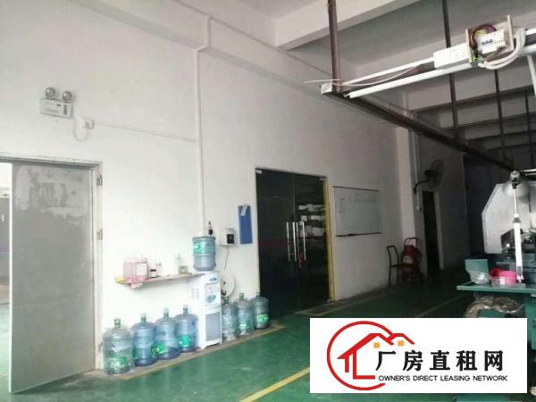  大岭山镇杨屋租客出租一楼1000平厂房有行车有办公室装修可分