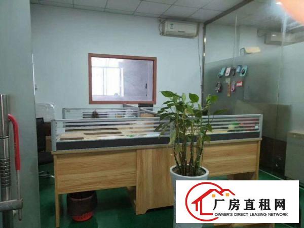  大岭山镇杨屋租客出租一楼1000平厂房有行车有办公室装修可分