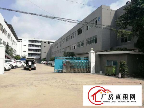  大岭山镇杨屋租客出租一楼1000平厂房有行车有办公室装修可分