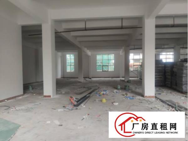  房东免费给客户装修独栋每层388平全新厂房有货梯可分租