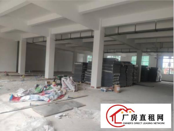  房东免费给客户装修独栋每层388平全新厂房有货梯可分租