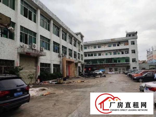  租17块无杂费大岭山镇出租一楼800平厂房可办环评可分租