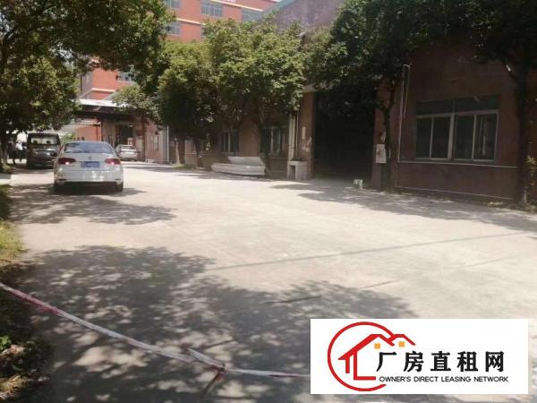  原房东单一层2000平砖墙独院厂房出租大空地滴水7米