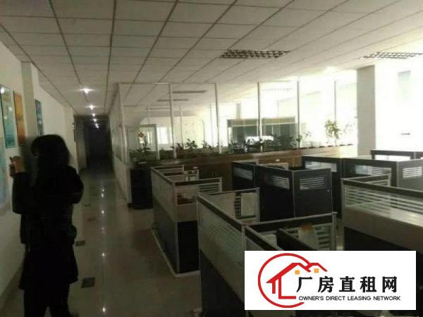  新出原房东4500平无公摊独院有纸品环评标准厂房带精装修