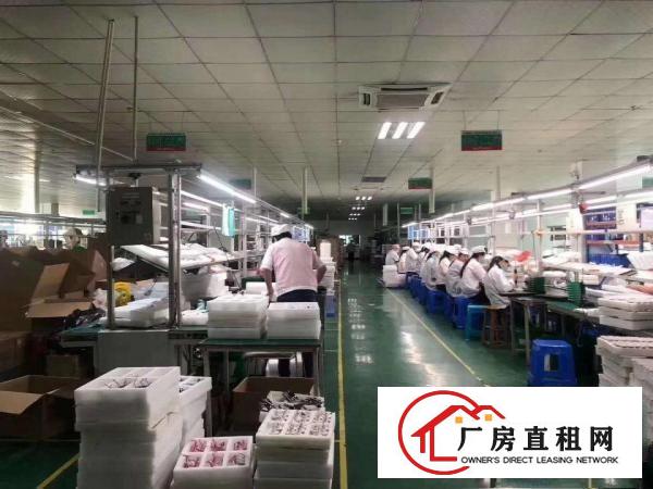  大岭山新出工业园单层1000平方厂房，有全新地坪漆