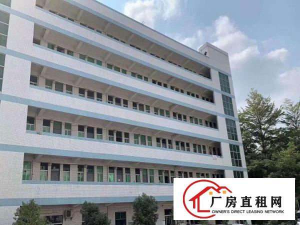  大岭山新出工业园单层1000平方厂房，有全新地坪漆