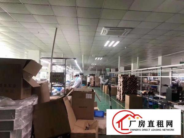  大岭山新出工业园单层1000平方厂房，有全新地坪漆