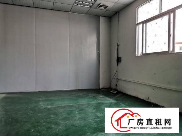 大岭山单一层钢结构1100平米厂房招租，滴8米，可办环坪