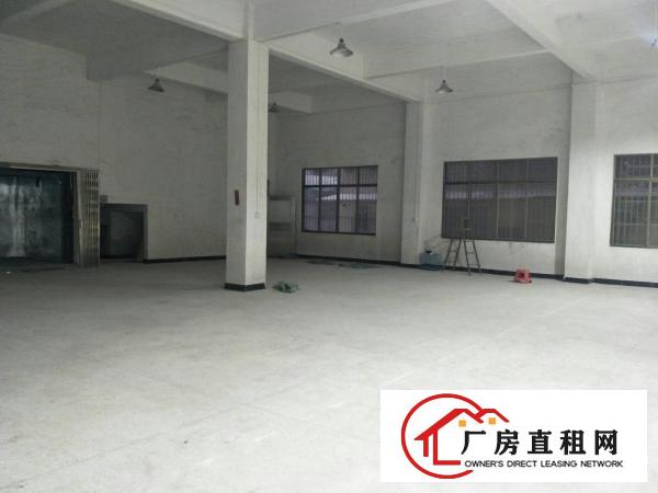  大岭山厚大路边原房东小独栋700平方便宜出租