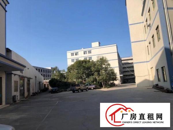  免中介费！大岭山原房东实际面积2200平厂房出租水电齐全