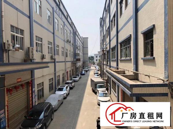  免中介费！大岭山原房东实际面积2200平厂房出租水电齐全