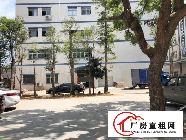  免中介费！大岭山原房东实际面积2200平厂房出租水电齐全