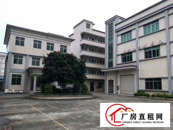  大岭山镇工业园出租楼上600平厂房形象好位置好设施齐全