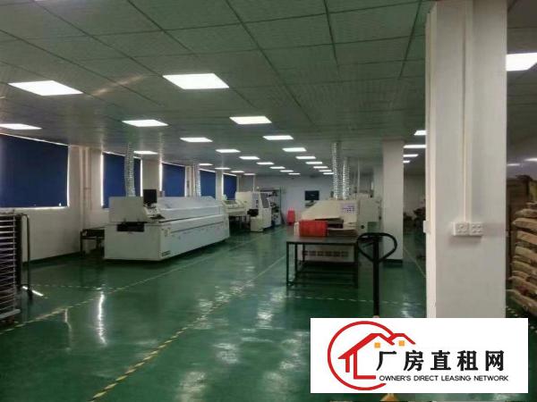  香港上市公司厂房出租，环境好，政府厂房，有环评