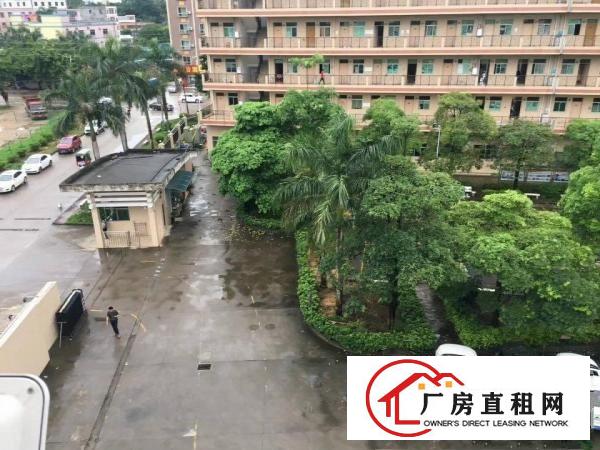  大岭山厚大路边9成新独院招租，双证齐全，可办环评