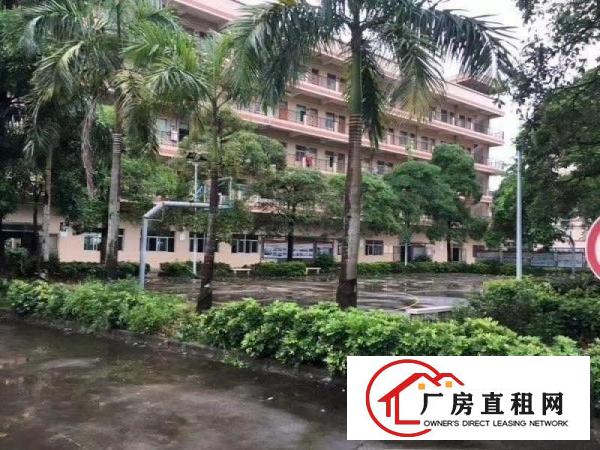  大岭山厚大路边9成新独院招租，双证齐全，可办环评