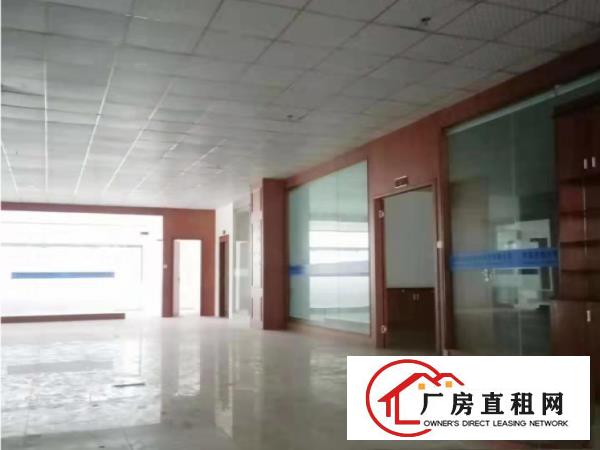  大岭山新出原房东无公摊厂房2000平方，带免费行车