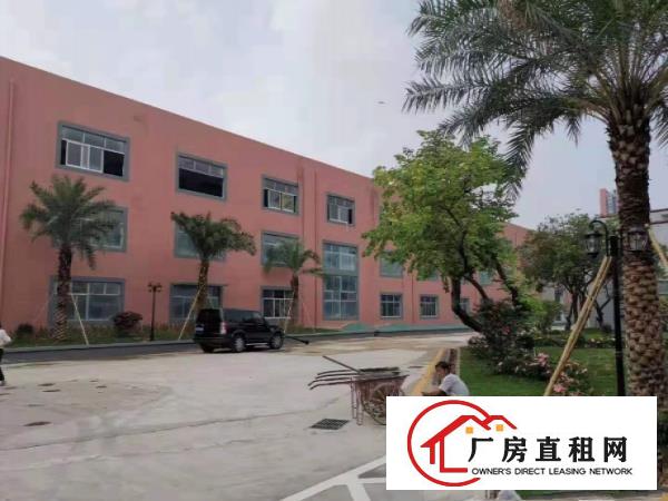  大岭山新出原房东无公摊厂房2000平方，带免费行车