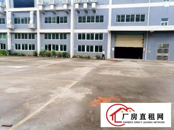  大岭山新出原房东无公摊厂房2000平方，带免费行车