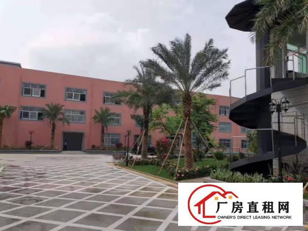  大岭山新出原房东无公摊厂房2000平方，带免费行车