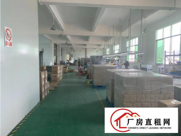  大岭山新出原房东无公摊厂房2000平方，带免费行车