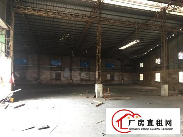  大岭山国道边新出独门独院2000平厂房加宿舍出租厂房高度高