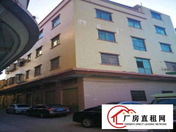  出租大朗镇洋乌洋陂新区46号出租