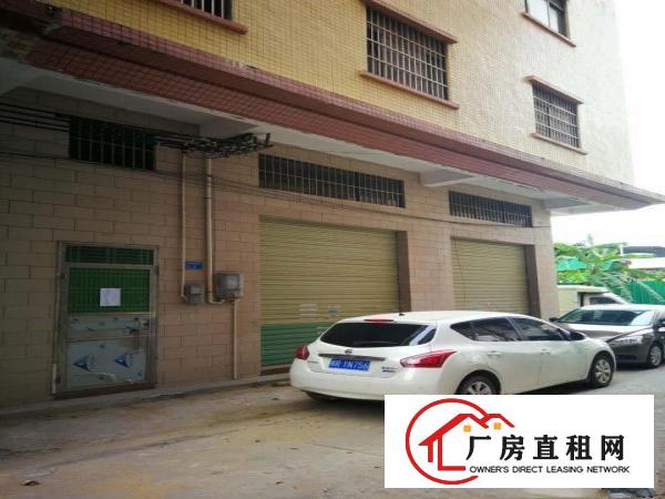  出租大朗镇洋乌洋陂新区46号出租
