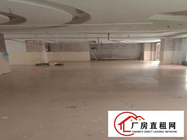  黎贝岭圹岭126号一楼，可开做毛织，五金，仓库，小型加工厂