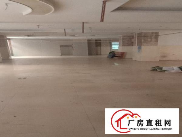  黎贝岭圹岭126号一楼，可开做毛织，五金，仓库，小型加工厂